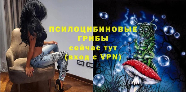СК Абаза