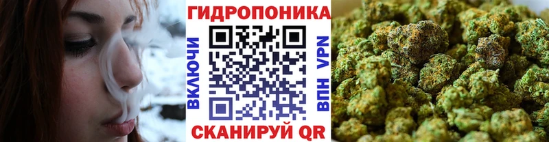 Канабис MAZAR  купить закладку  Урень 